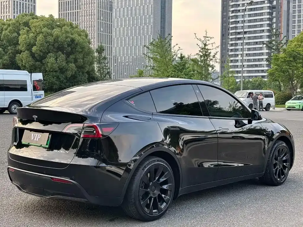 Tesla Model Y — фото 9