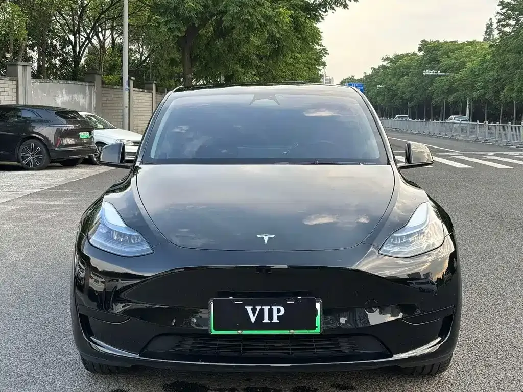 Tesla Model Y — фото 8
