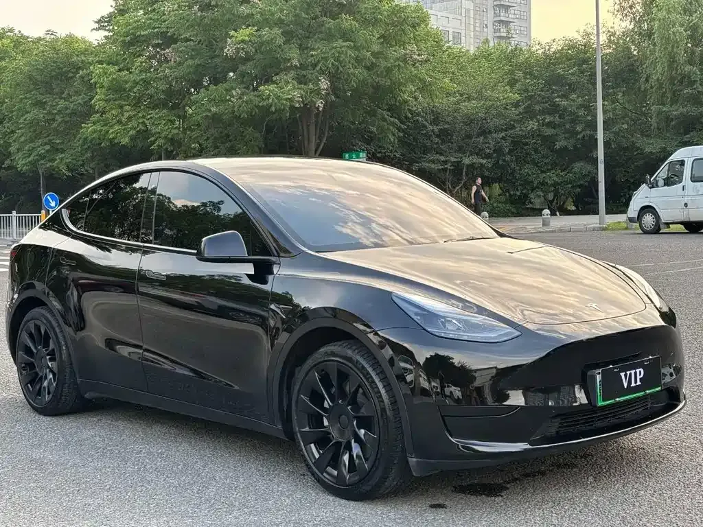 Tesla Model Y — фото 5