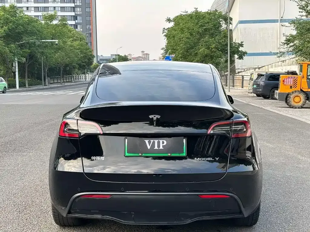 Tesla Model Y — фото 10