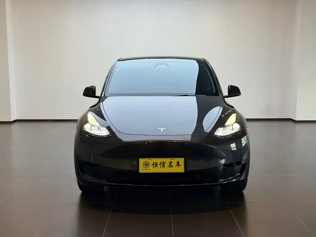 Tesla Model Y — фото 5