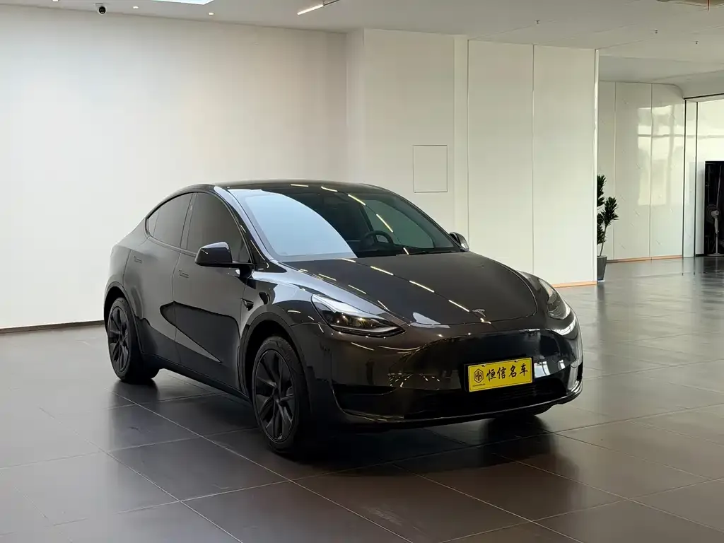 Tesla Model Y — фото 2