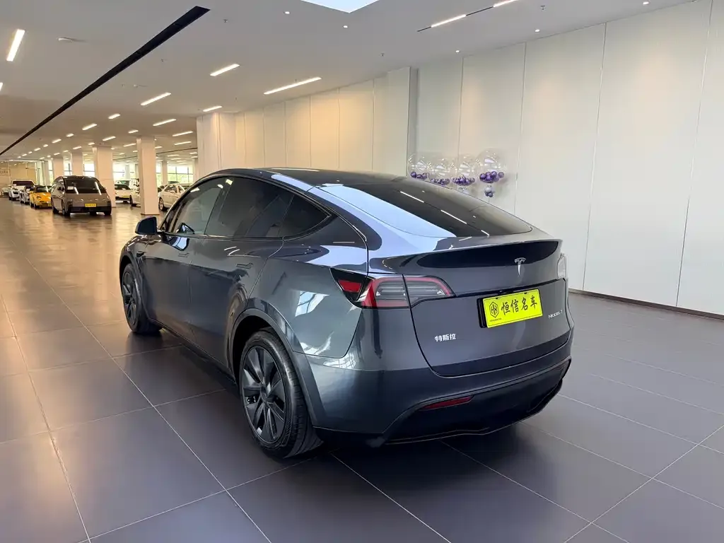 Tesla Model Y — фото 6