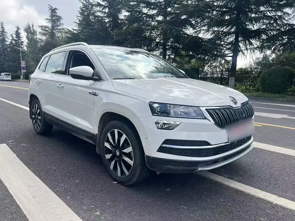 Skoda Karoq — фото 9