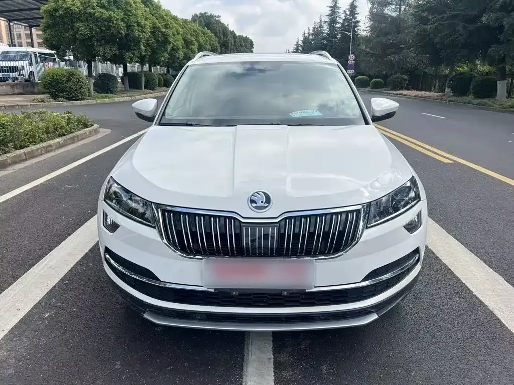 Skoda Karoq — фото 10