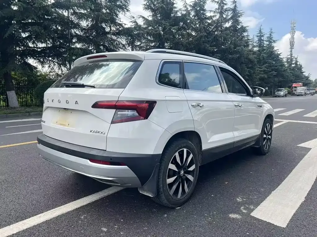 Skoda Karoq — фото 6