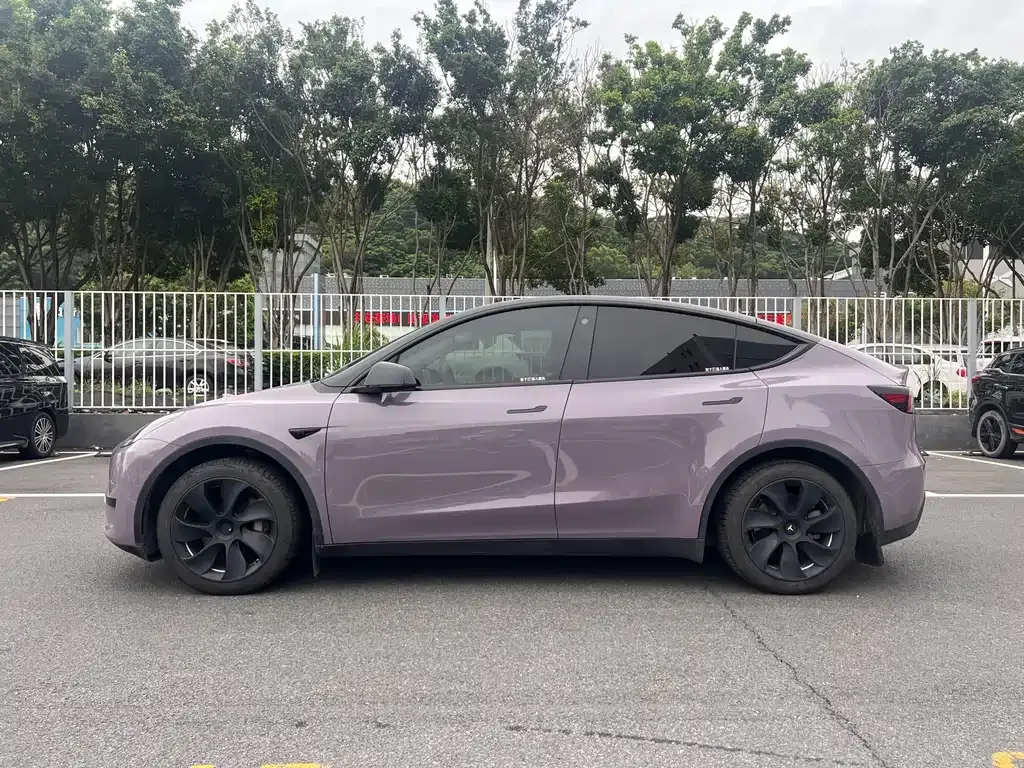Tesla Model Y — фото 10