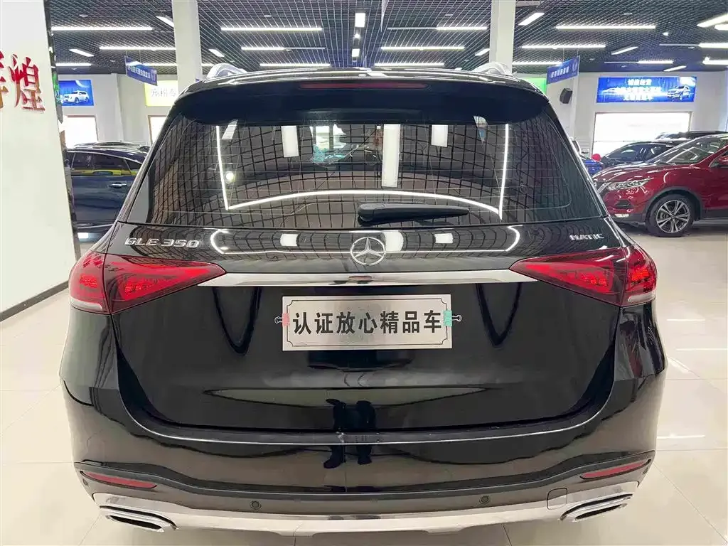 Mercedes-Benz 奔驰GLE(进口) — фото 6