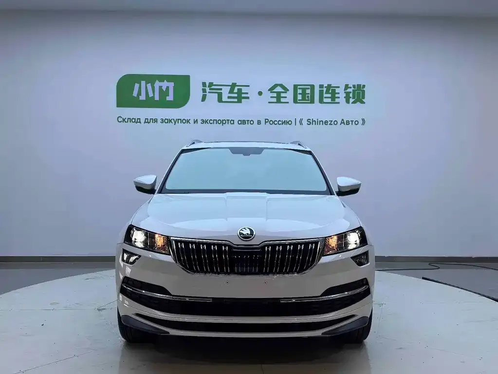 Skoda Karoq — фото 6