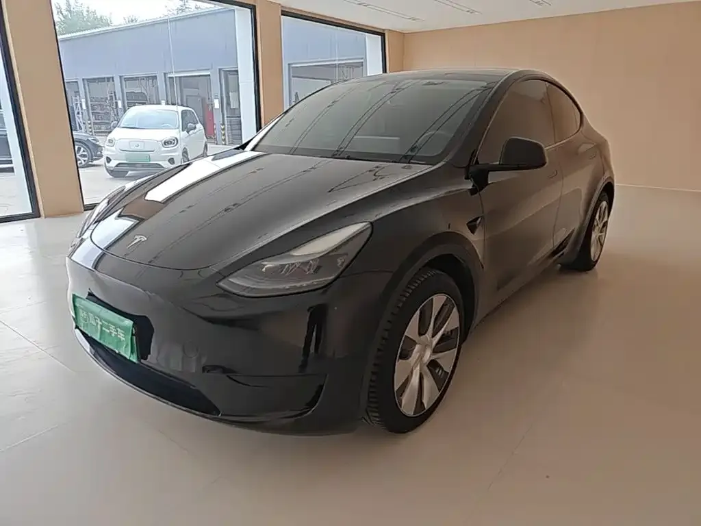 Tesla Model Y — фото 10
