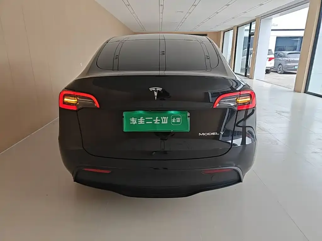 Tesla Model Y — фото 9