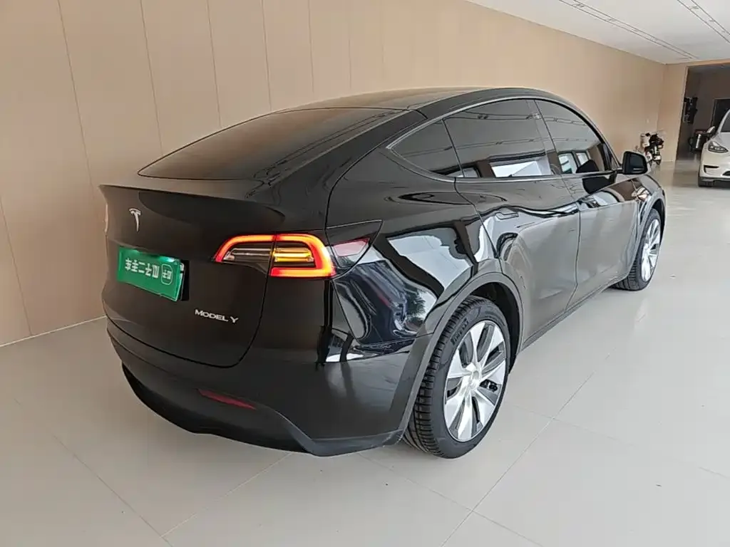 Tesla Model Y — фото 5