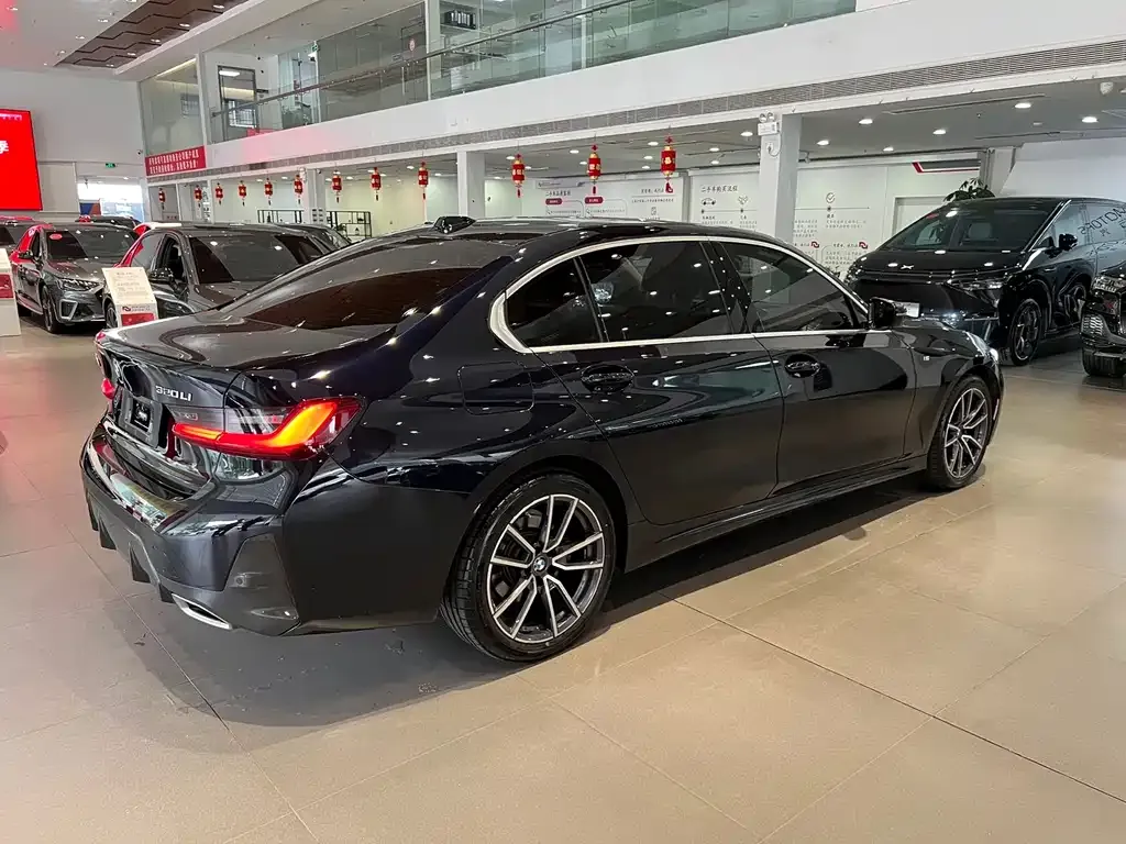 BMW 3 Series — фото 10