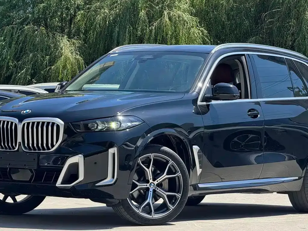 BMW X5 — фото 1