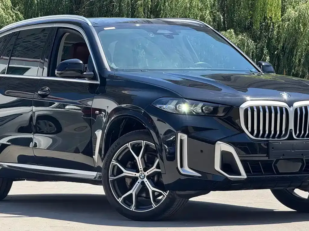 BMW X5 — фото 7