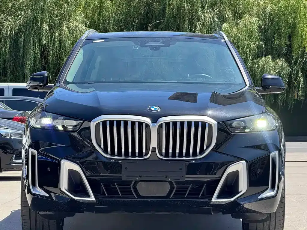 BMW X5 — фото 8