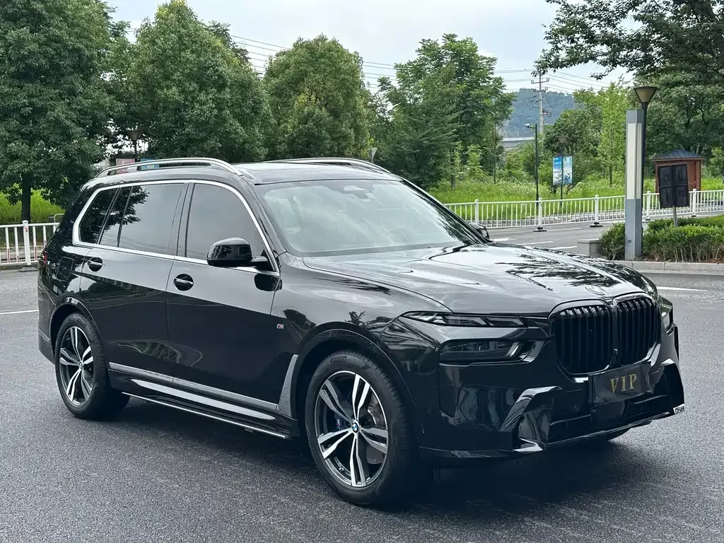 BMW X7 — фото 4
