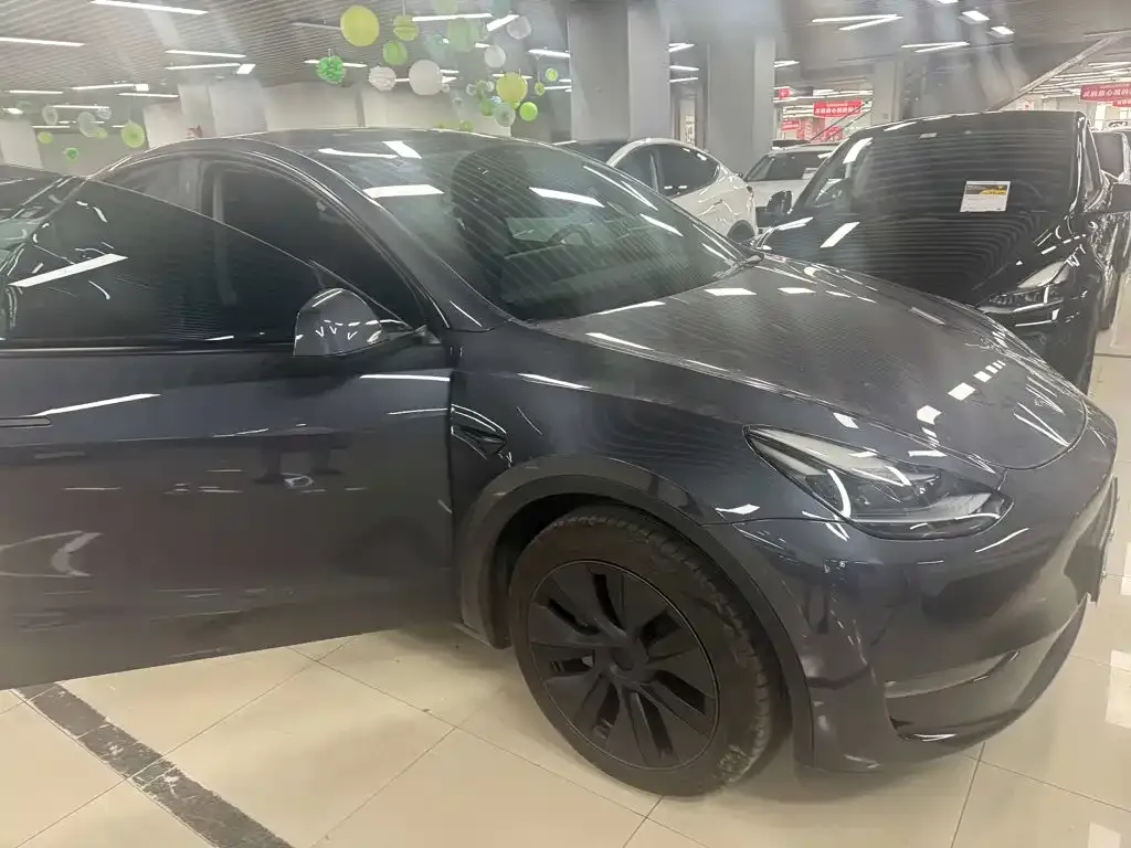 Tesla Model Y — фото 3