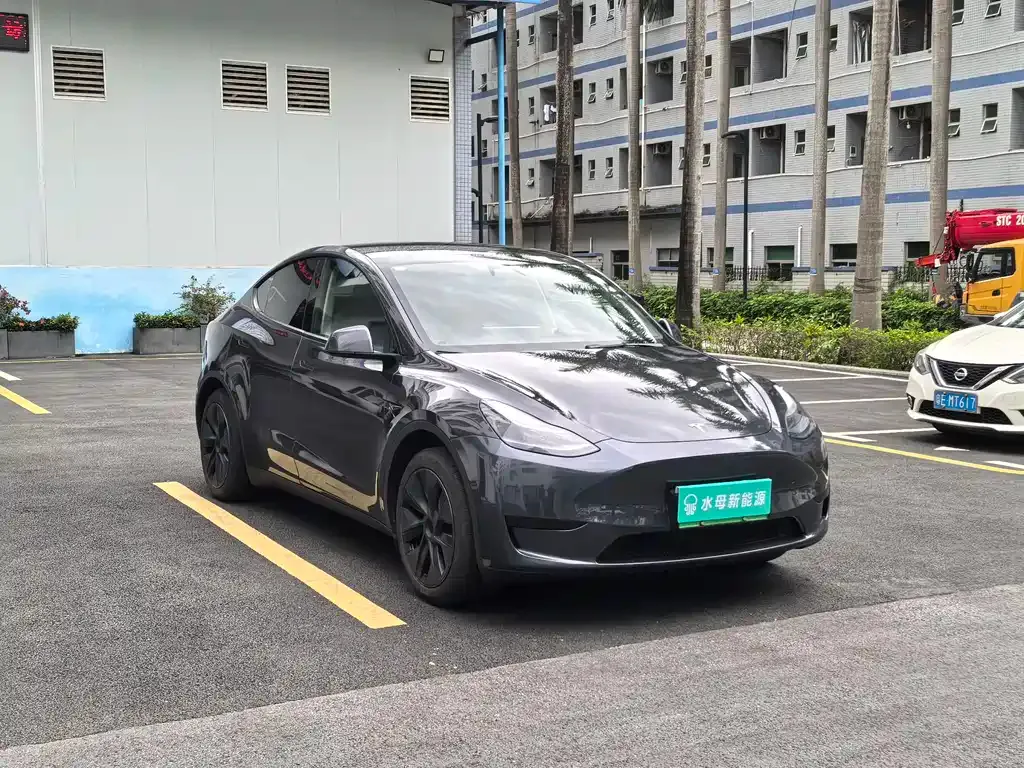 Tesla Model Y — фото 8