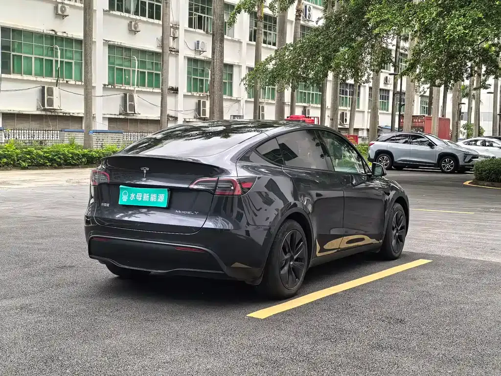 Tesla Model Y — фото 10