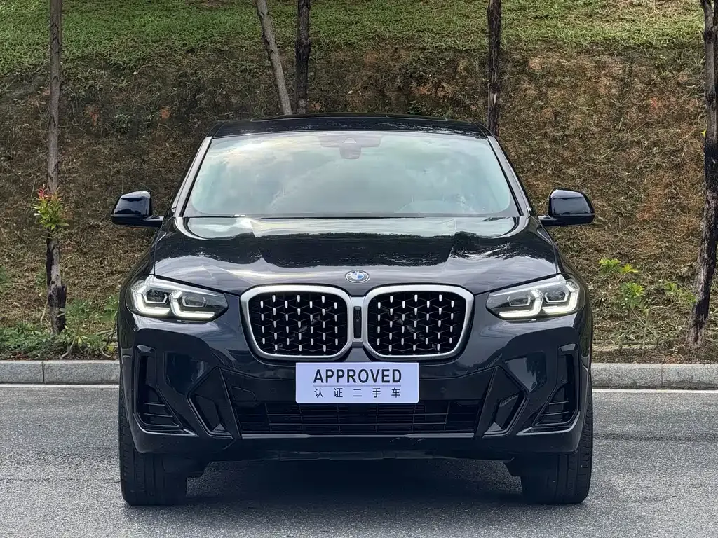 BMW X4 — фото 5