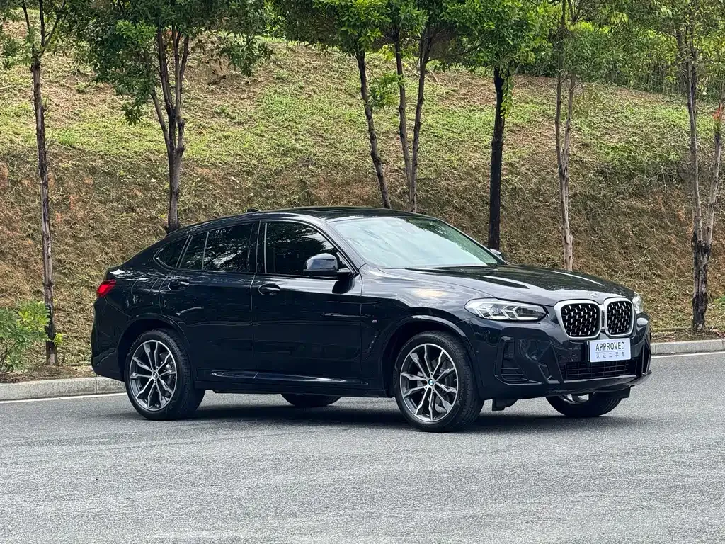 BMW X4 — фото 8