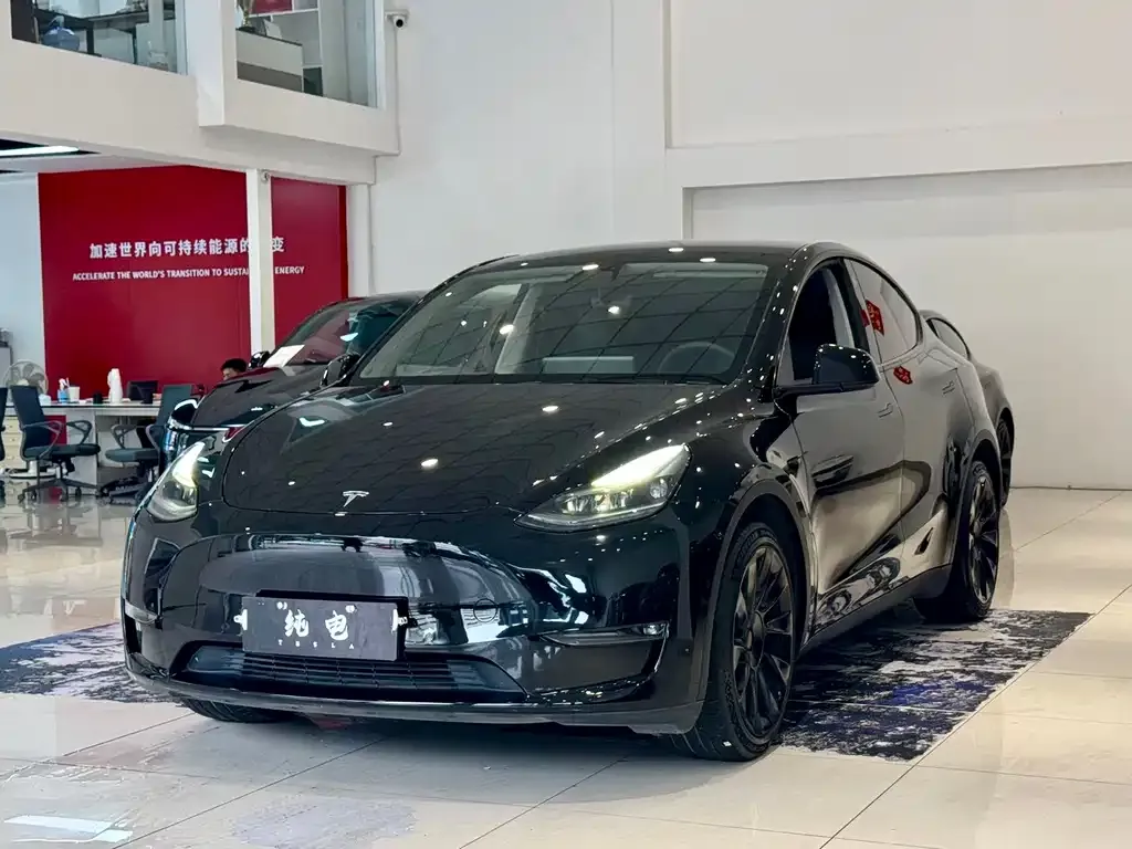 Tesla Model Y — фото 1