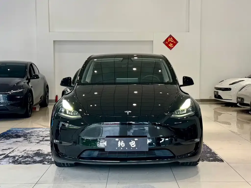 Tesla Model Y — фото 6