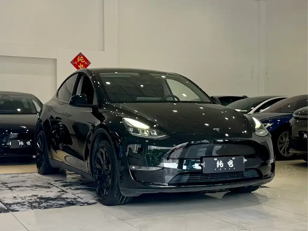 Tesla Model Y — фото 10
