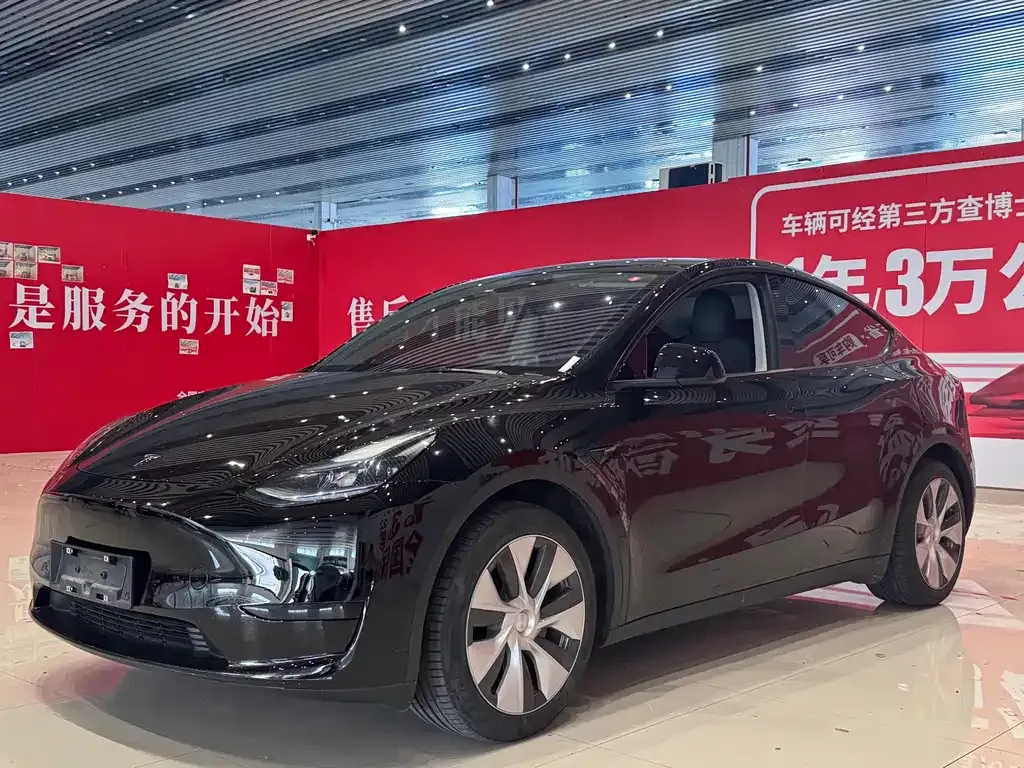 Tesla Model Y — фото 1