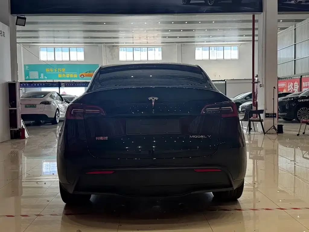 Tesla Model Y — фото 6