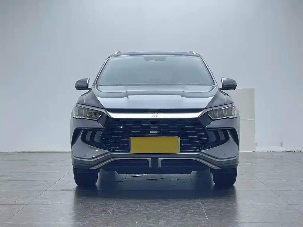 BYD Pro New Energy — фото 2
