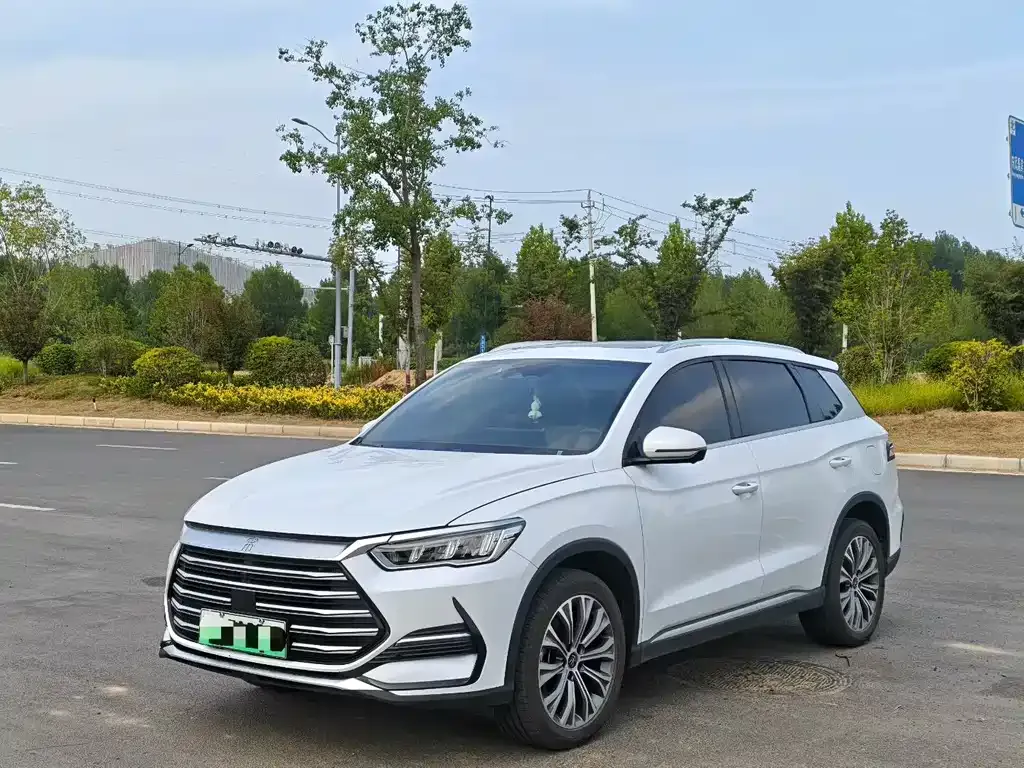BYD Pro New Energy — фото 1