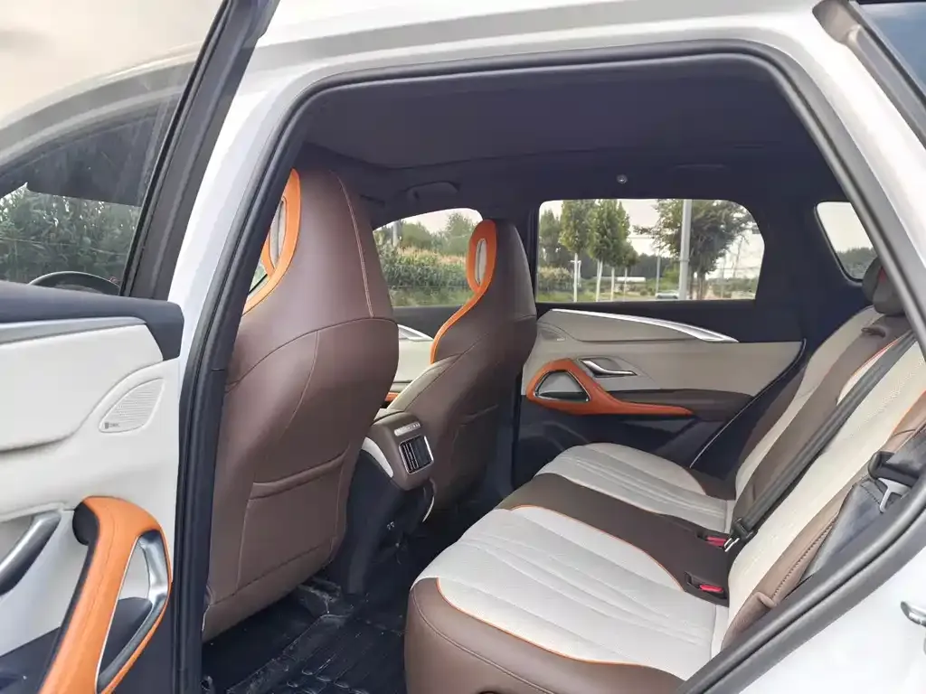 BYD Pro New Energy — фото 2