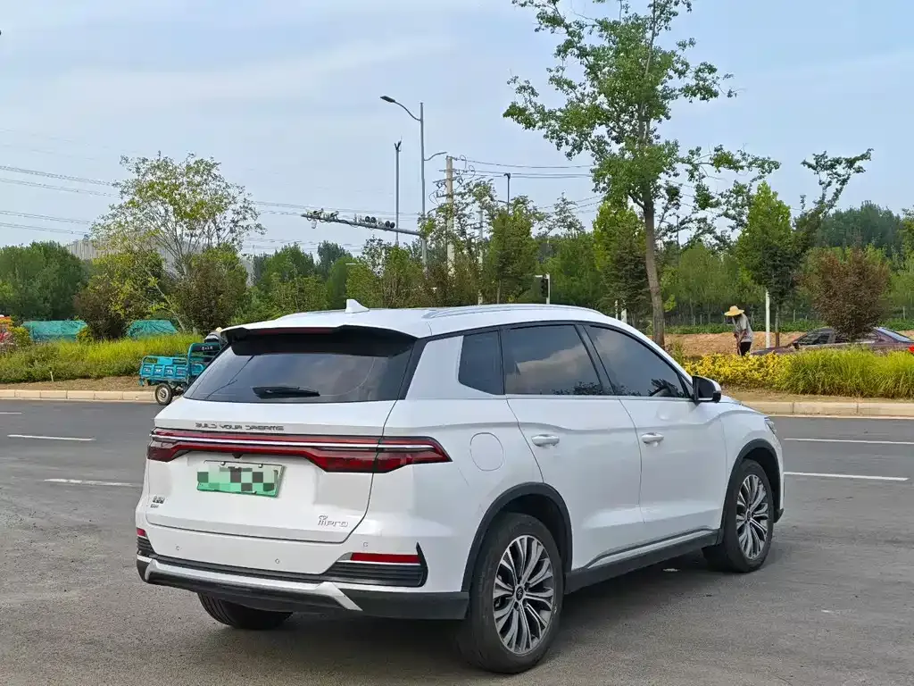 BYD Pro New Energy — фото 9