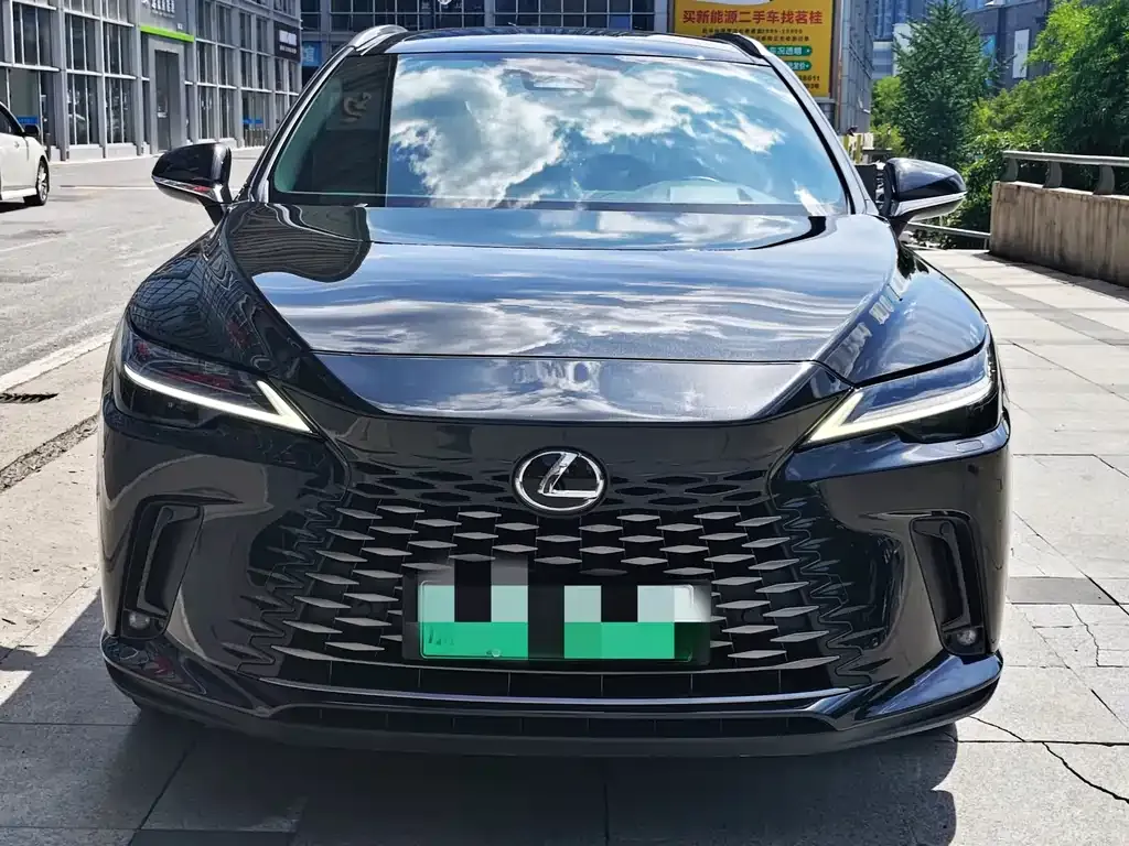 Lexus RX New Energy — фото 7