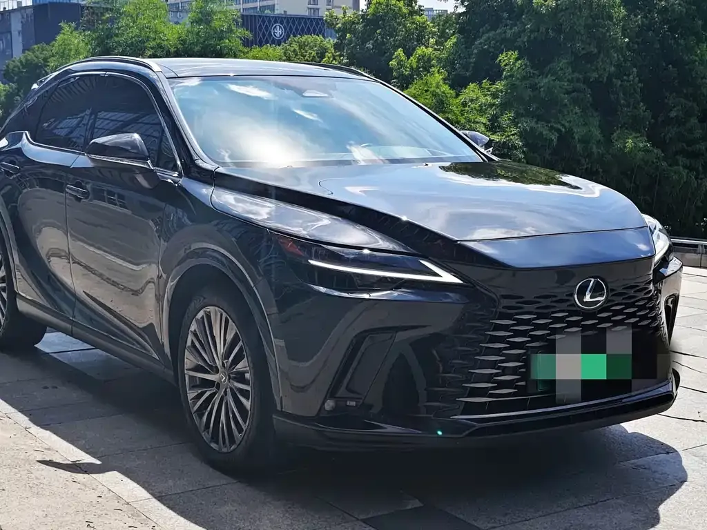 Lexus RX New Energy — фото 2