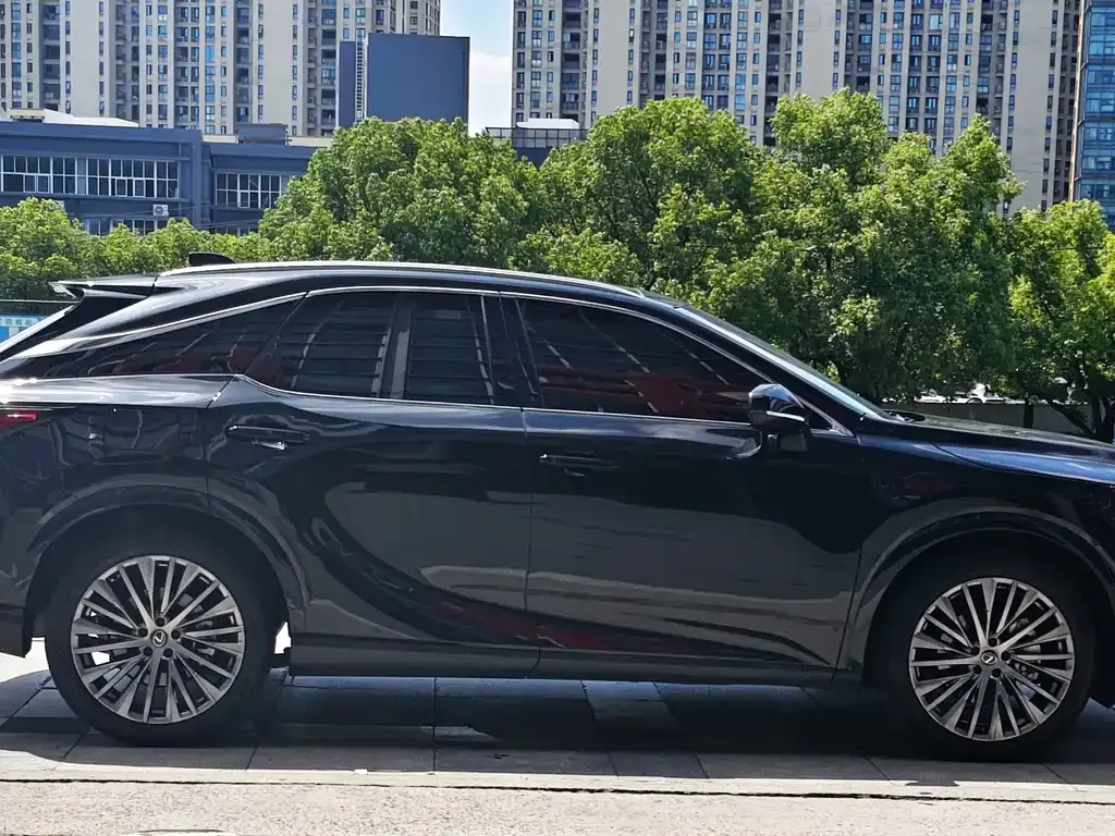 Lexus RX New Energy — фото 8