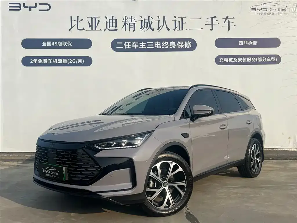 BYD Tang New Energy — фото 1