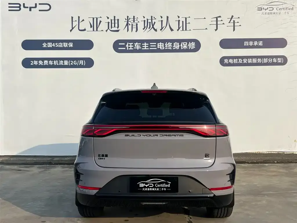 BYD Tang New Energy — фото 5