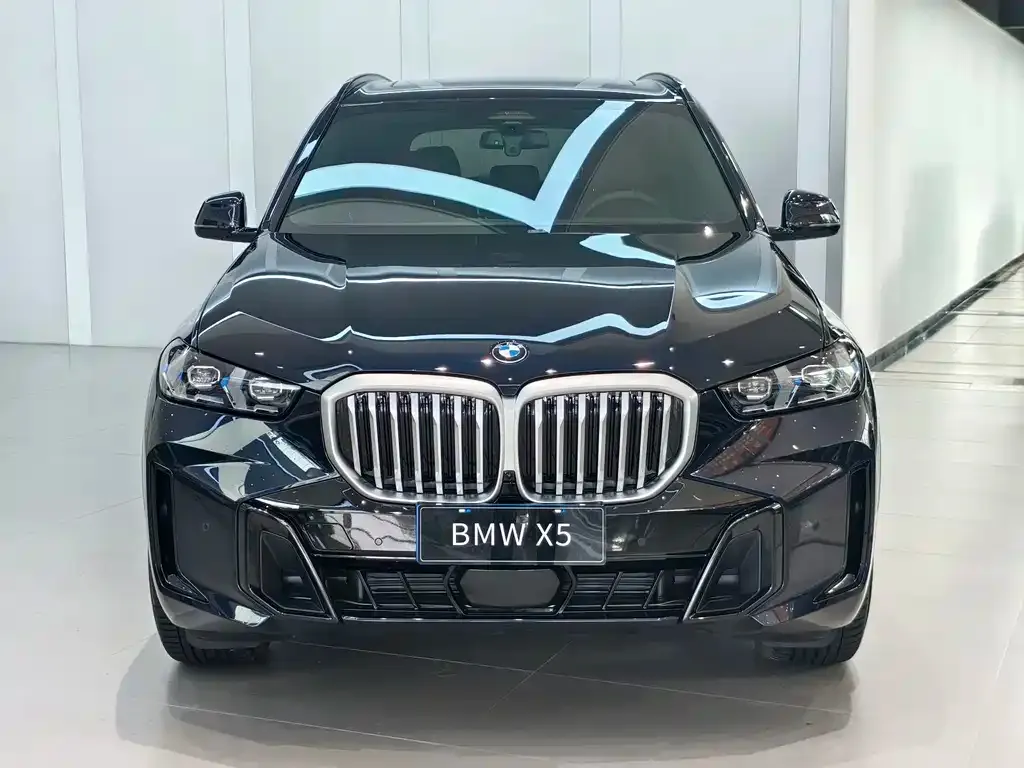 BMW X5 — фото 10