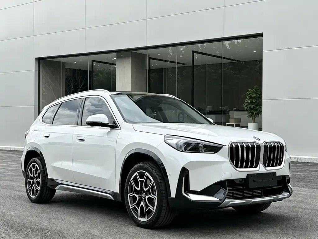 BMW X1 — фото 10