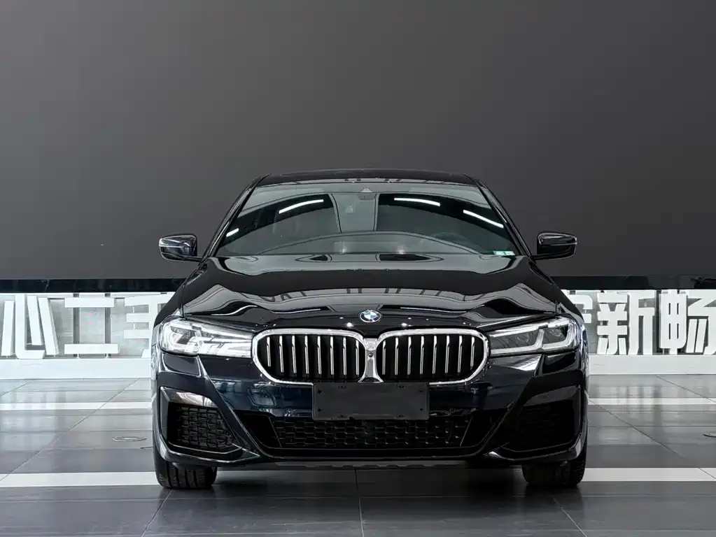BMW 5 Series — фото 3