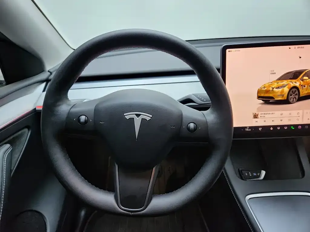 Tesla Model Y — фото 6