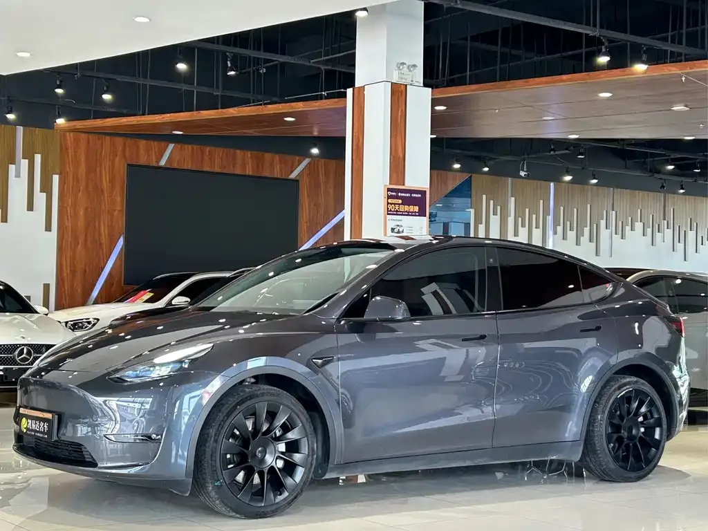 Tesla Model Y — фото 1