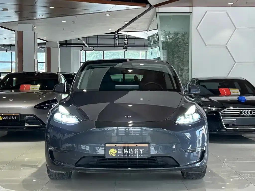 Tesla Model Y — фото 5
