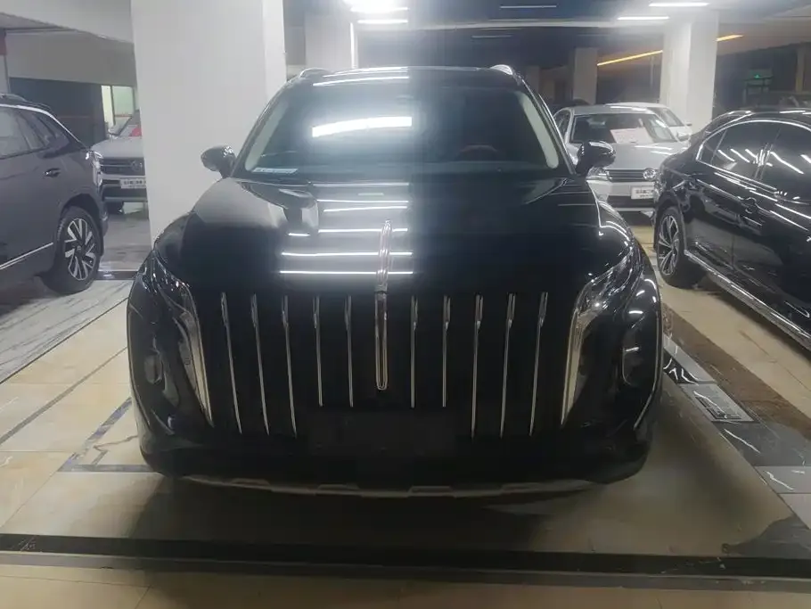 Hongqi HS7 PHEV — фото 10