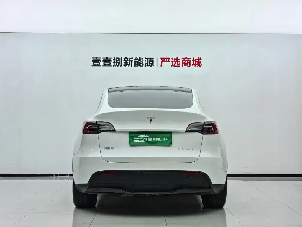 Tesla Model Y — фото 3