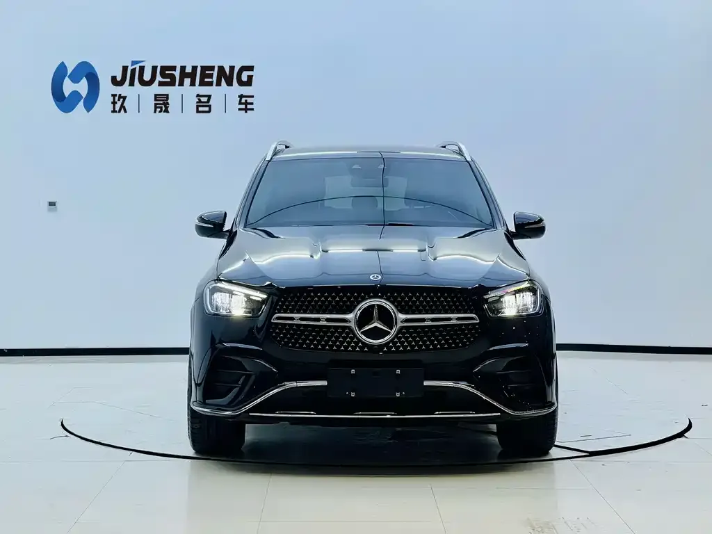 Mercedes-Benz 奔驰GLE(进口) — фото 9