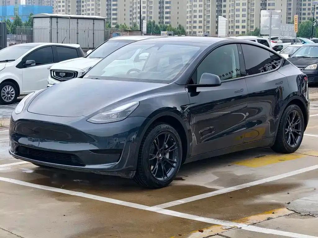 Tesla Model Y — фото 1